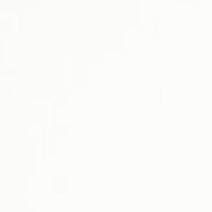 Meet your Posher, Joy